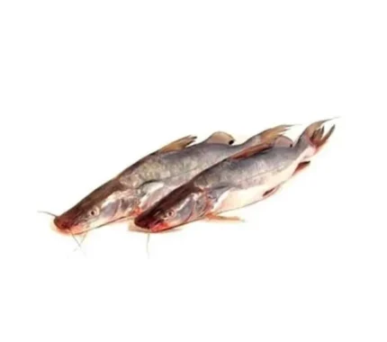 Ayer Fish Cut Clean (Myanmar) (500g)