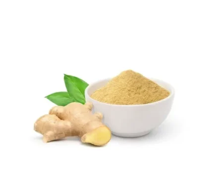Ginger Powder (100g)