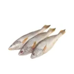 Poa Fish Frozen (Myanmar) (500g)