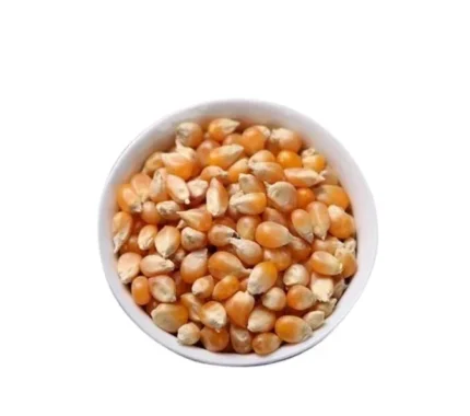 Popcorn Beans (1kg)