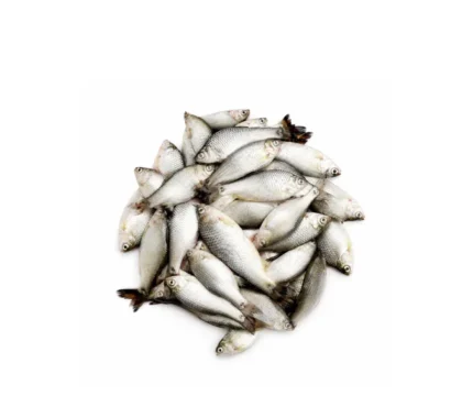 Puti Fish 300g